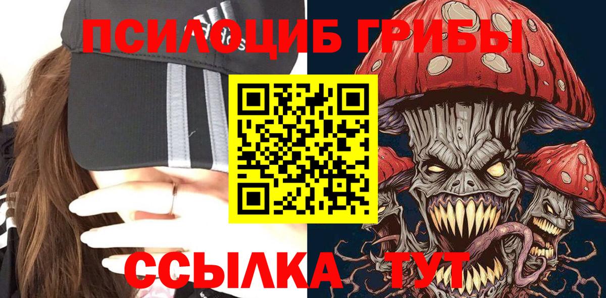 Псилоцибиновые грибы Psilocybe  Нальчик 